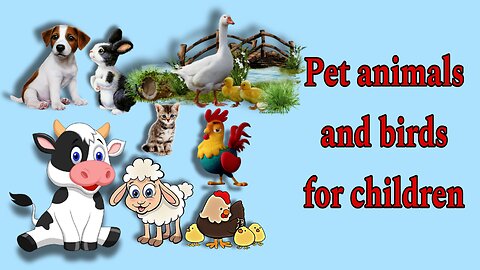 Names of pet animals and birds for children