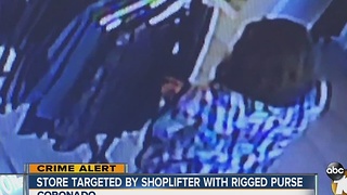 Store targeted by shoplifter with rigged purse