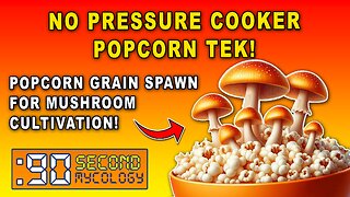 NO PRESSURE COOKER Popcorn Prep & Inoculation for Mushroom Grain Spawn!