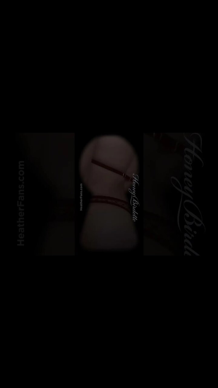 New Honey Birdette Try On Haul — full video in the comments!