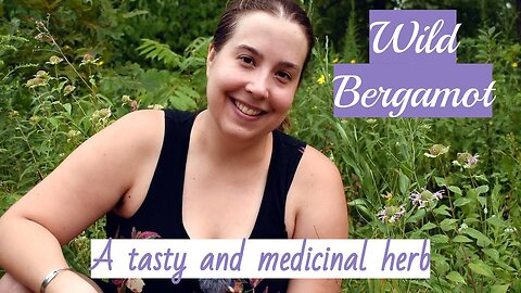 Wild Bergamot: A Tasty and Medicinal Herb