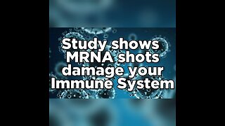 Studies show MRNA technology damages immune system.