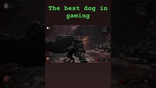 The best dog in gaming. #youtubeshorts #gamingcommunity