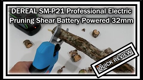 DEREAL SM-P21 Professional Electric-Pruning-Shear Battery Powered 2x 2Ah Lithium 32mm QUICK REVIEW