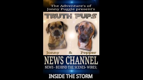 TRUTH PUPS Behind The Scenes News - MASSIVE Infighting Inside DNC, CIA