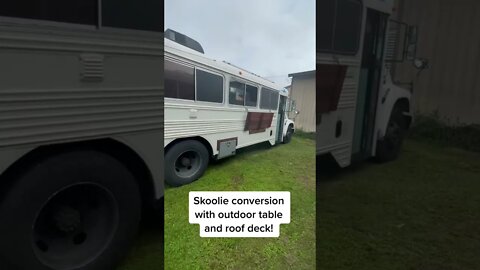 How cozy is this school bus conversion 🐶🐈