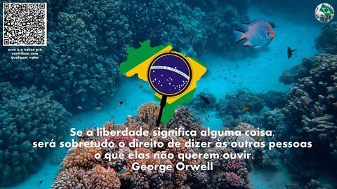 #aovivo. seguimos em frente, Bolsonaro 2022 esta chegando ...Durma e descanse em paz #relaxingmusic