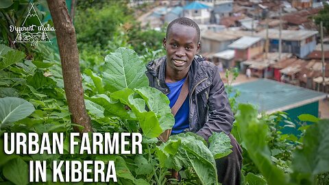 Urban Farmer in Kenya Slum (Documentary)