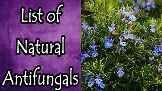 List of Natural Antifungals