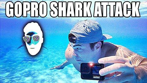 Mark Rober Reaction Review | Why Do Sharks Attack GoPros?