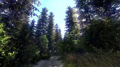 Kingdom Come Deliverance Awesome Forest HDR RTGI Ray Trace Global Illumination
