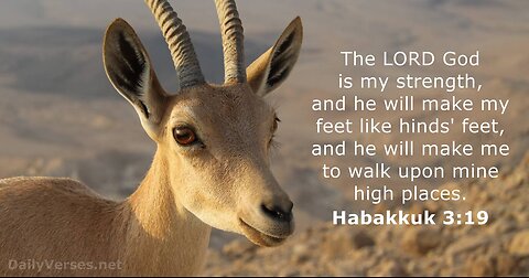 Habakkuk 3