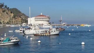 Avalon, Catalina Island | Feb. 7, 2020