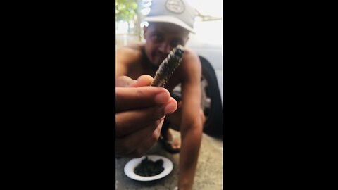 Trying Mumpani Worms for the First Time! Cooking Adventure with my Daughter | Exotic Foods
