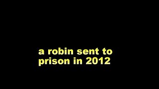 a robin sent to prison in 2012