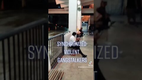 Gang-stalking in Action : The TikTok Edition : Synchronized Violent Stalkers - Ft. Lauderdale