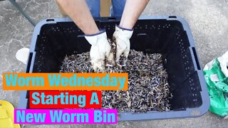 Worm Wednesday: Starting a new worm bin Vermicompost