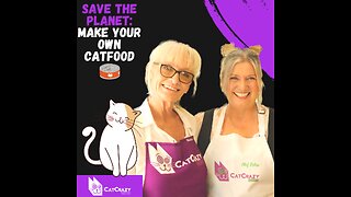 How to Make Your Own Cat Food and Save Tons of Money!