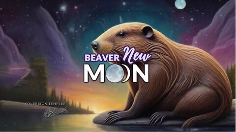 New Moon Meditation | Beaver New Moon In Scorpio | November 13th