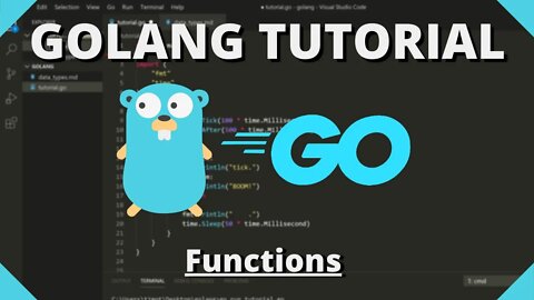 Golang Tutorial #16 - Functions