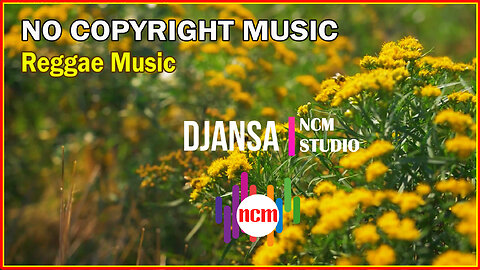 Djansa - The Mini Vandals featuring Mamadou Koita and Lasso: Reggae Music, Funky Music, Tribal Music