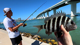 Shore fishing in Tampa Florida!