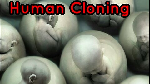 IN PLAIN SIGHT - CLONES, ROBOTOIDS AND NON HUMAN ENTITIES