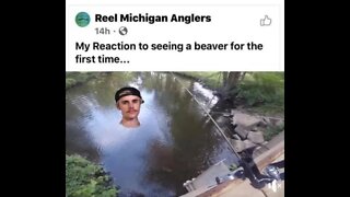 My Reaction To Seeing A Beaver For The First Time...