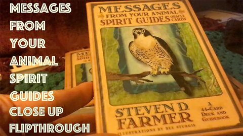 Flip Through of Messages From Your Animals Spirit Guides Oracle Cards by Steven D Farmer. Close Up