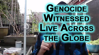 Israel Genocide in Gaza Witnessed Live Across the Globe: Workers Feeding Starving Hunted & Murdered