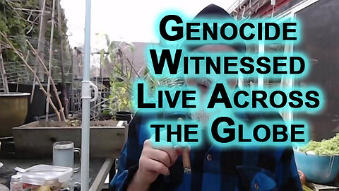Israel Genocide in Gaza Witnessed Live Across the Globe: Workers Feeding Starving Hunted & Murdered