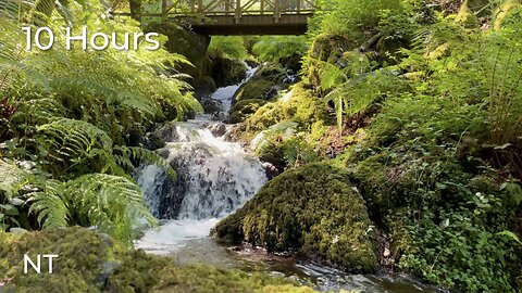 Flowing Stream & Gentle Waterfall Sounds for Sleep & Relaxation | Flowing Water Sounds: White Noise