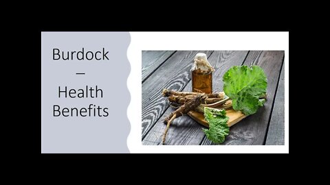 Burdock Health Benefits