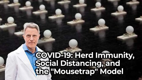 COVID-19: Herd Immunity, Social Distancing, and the "Mousetrap" Model
