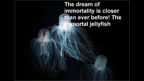 The dream of immortality is closer than ever before! The immortal jellyfish