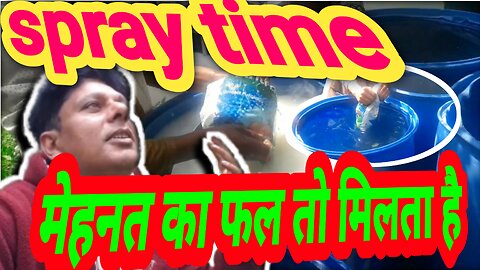 मेहनत का फल तो मिलता है||Spray time on my apple farm$Applesfarming|agriculture