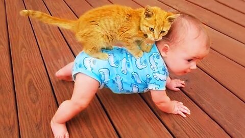 Funniest Cats Videos 🐱 Part 173