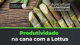 Produtividade com o Protocolo da Lottus BioSoluções