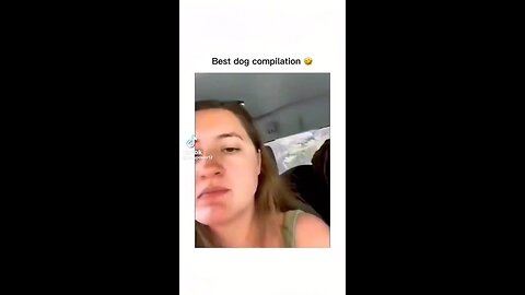 funny dog 🐶 video