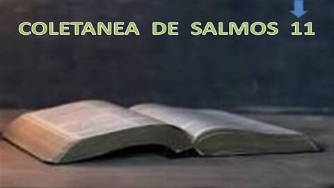 SALMOS 11 COLETANEA