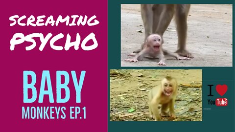 Crazy psycho baby monkeys Ep. 1