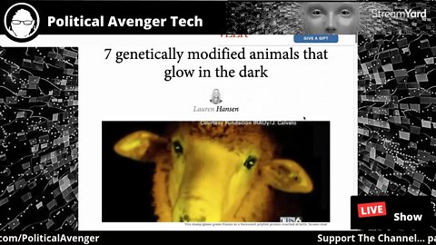 7 Genetically Modified Animals That Glow In The Dark