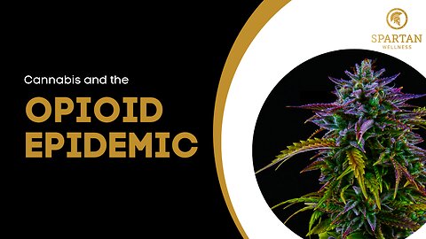 How Medical Cannabis is Helping the Opioid Epidemic