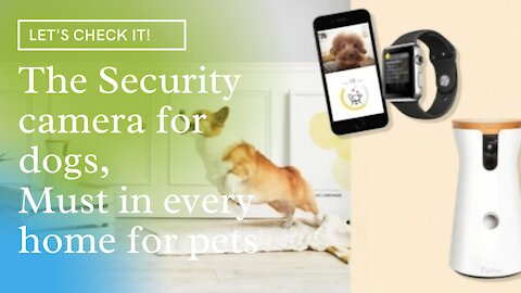 Dog Camera: Treat Tossing, Full HD Wifi Pet Camera and 2-Way Audio, Designed for Dogs