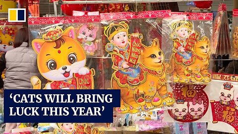 Lunar New Year: Vietnam celebrates the Year of the Cat instead of rabbit