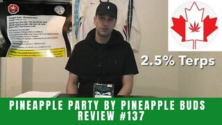 PINEAPPLE PARTY by Pineapple Buds | Review #137