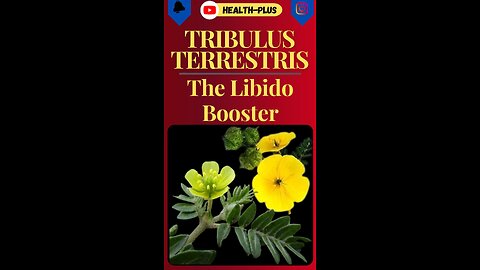 Tribulus Terrestris - The Libido Booster