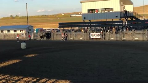 Bull Riding at Rodeo