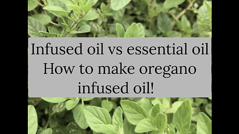 Infused vs essential oils and how to make an infused oil!