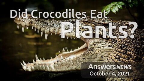 Did Crocodiles Eat Plants? - Answers News: October 4, 2021